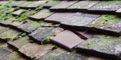 Penceiliogi roof repair costs
